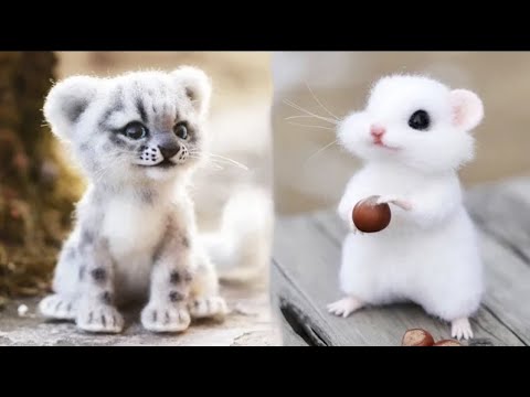 Cute baby animals Videos Compilation 2023