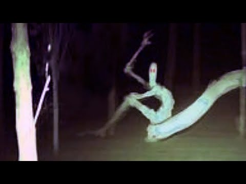 10 Scary Things Recently Caught In Playgrounds!