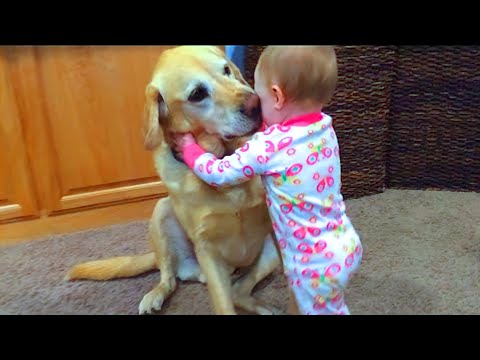 Cute Babies Playing With Dogs Compilation