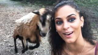 Instant Karma 2022