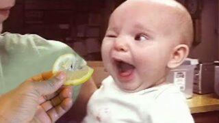 Surprised Babies Eating Lemon for the first time