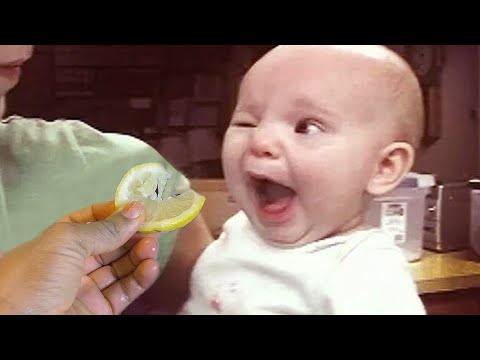Surprised Babies Eating Lemon for the first time