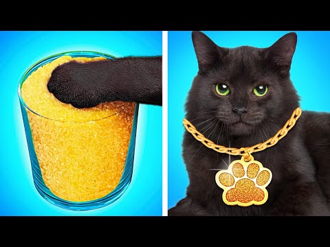 Best Pet Gadgets and hacks