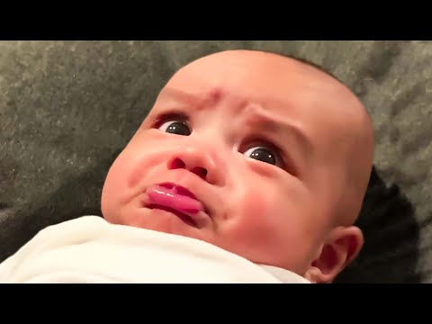 The Funniest Baby Collection April 2023