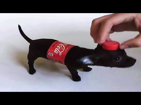 You laugh 1 times, You restart the video