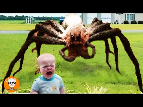 Funniest Babies Scared of Weird Decorations