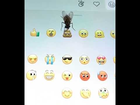 Fly pick the right Emoji…