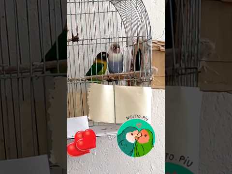 This bird is ready for the weekend!