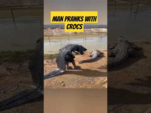 Man pranks with crocs