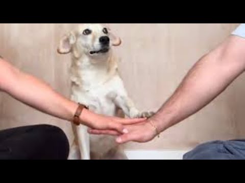 “Hands In” Trend Compilation